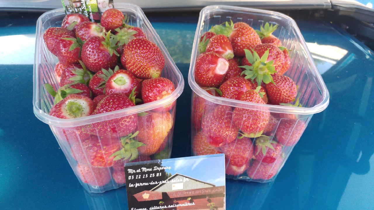 Fraises 
