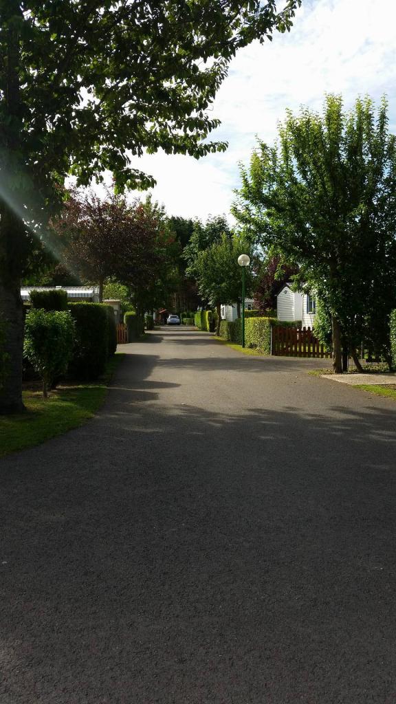 Allée du camping 